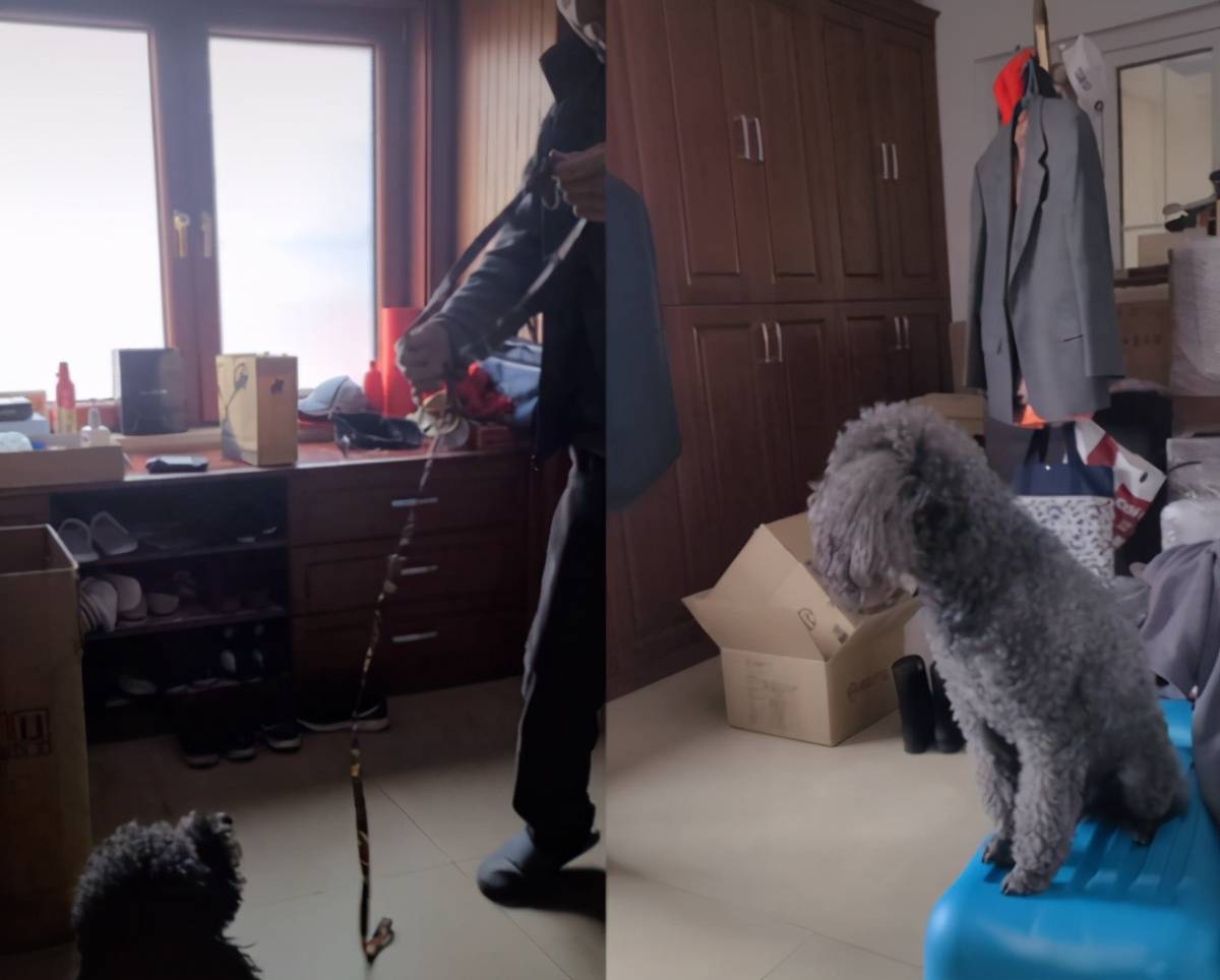 当冯巩去拿狗带时,镜子里出现的房间更加凌乱,光是放在地上的纸箱和包