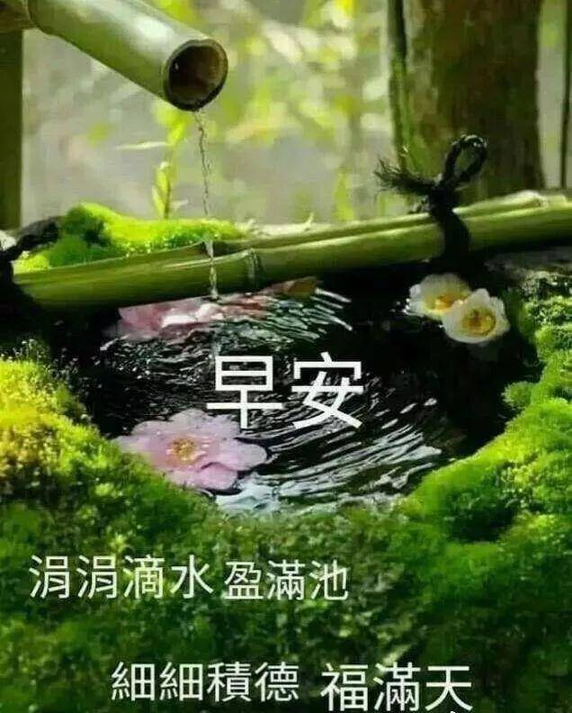 7月21日星期三清晨早上好问候图片 周三最新早安问候祝福图片带字温馨