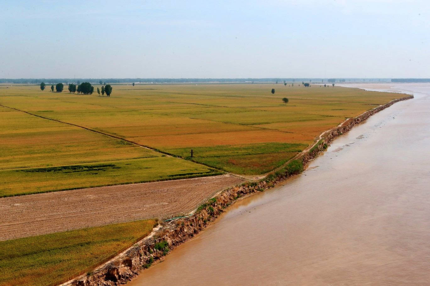 黄河下游已成地上悬河每年堆积4亿吨泥沙为何不挖走呢