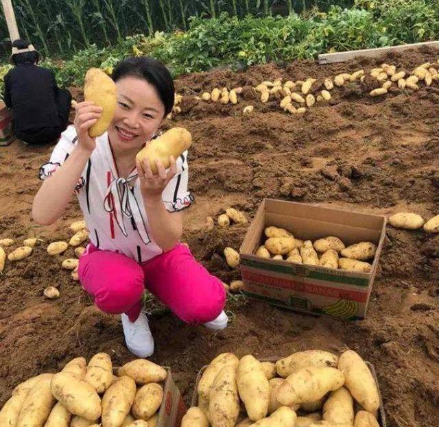 而且还在自己的家乡种植不少土豆和鸡蛋,从红极一时的到万人唾弃只是