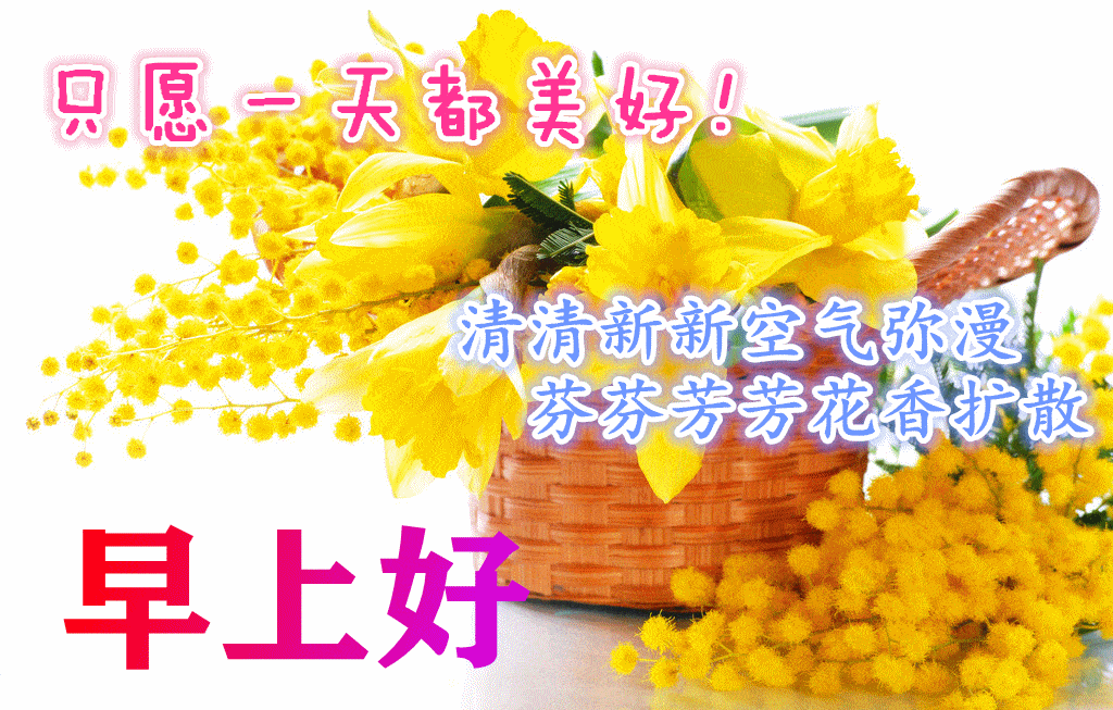 天气炎热防暑降温早上好问候图片美图合集 创意好看的夏日早安问候语