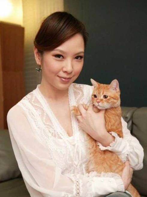 原创金钟影后天心因王一博分手说不婚结果又闪婚韩国丈夫