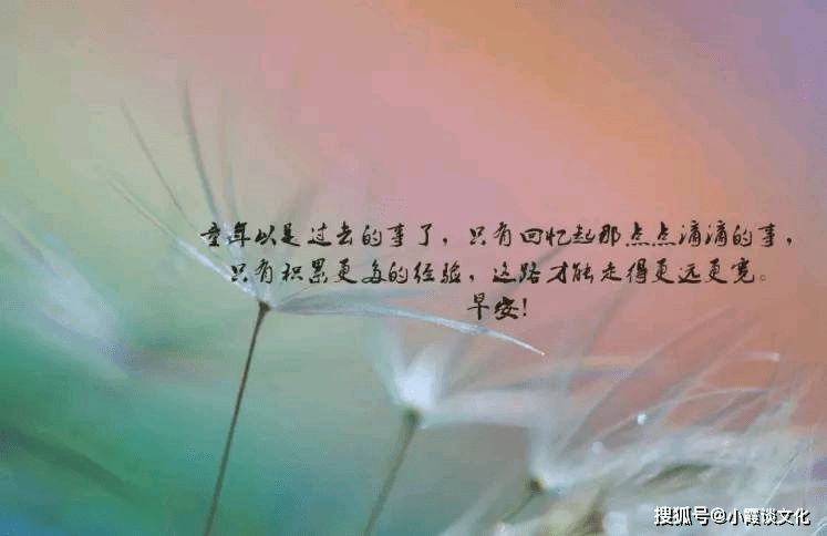 一个人心情不好的句子,句句治愈,送给心中带伤的你