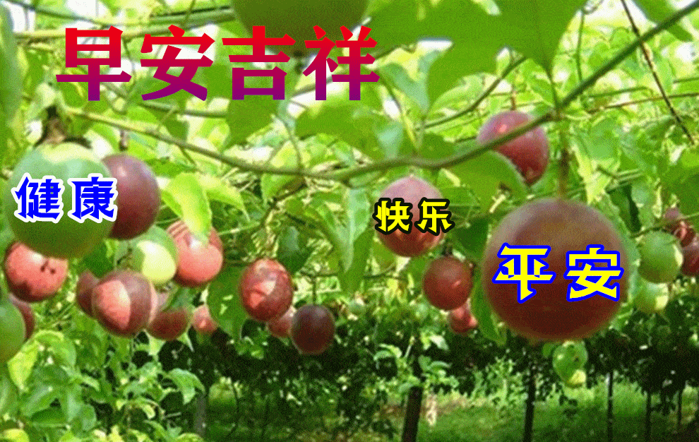2021年最新夏日早上好动画表情水果图片带祝福语 创意早安问候动态