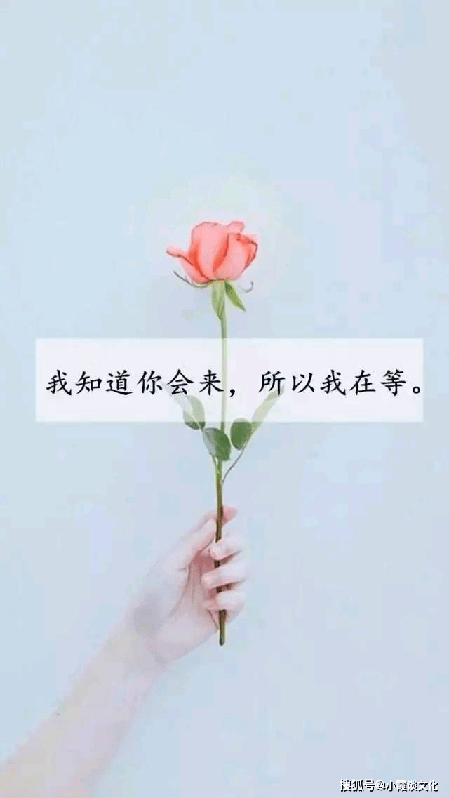 让人秒赞的经典语录,句句走心,发朋友圈会火