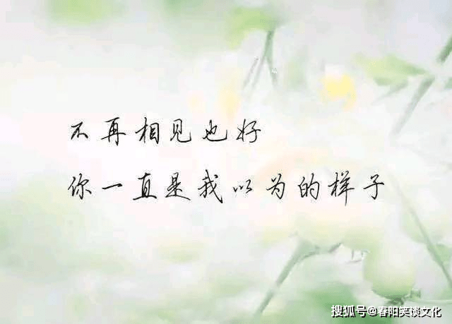 心里委屈又无奈的句子,哀怨凄凉,越看越揪心