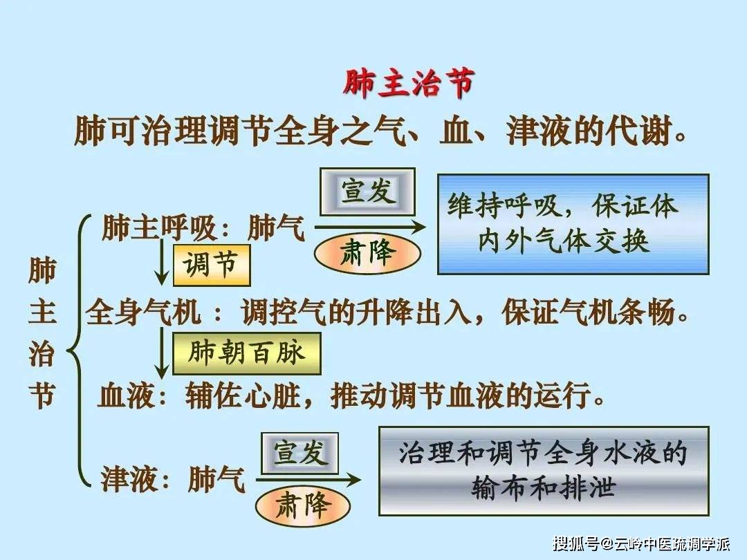 那么治节就是治理国家主要是靠宰相,总理,肺还起这个作用,它管得范围