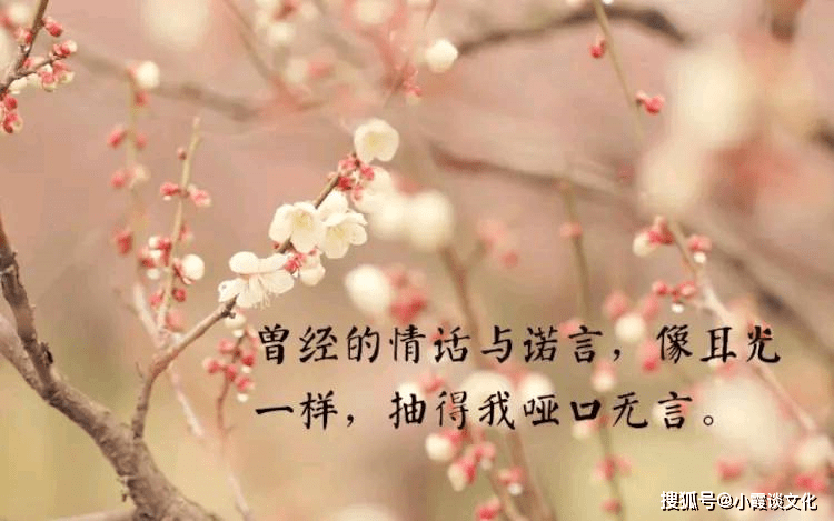 写给自己的最美个性签名,气质大方,一看就爱上