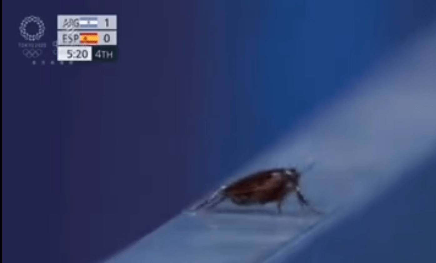 过于迷惑,东京奥运会转播拍摄蟑螂?