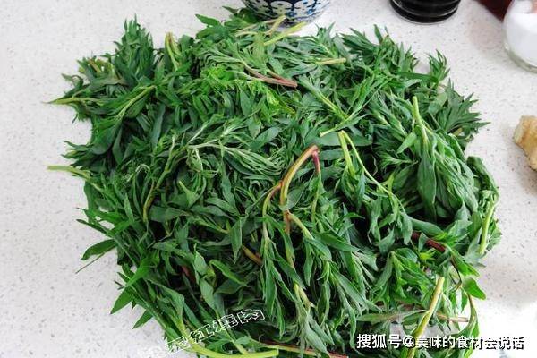 1扫帚苗野菜先摘一下去掉老的部位.