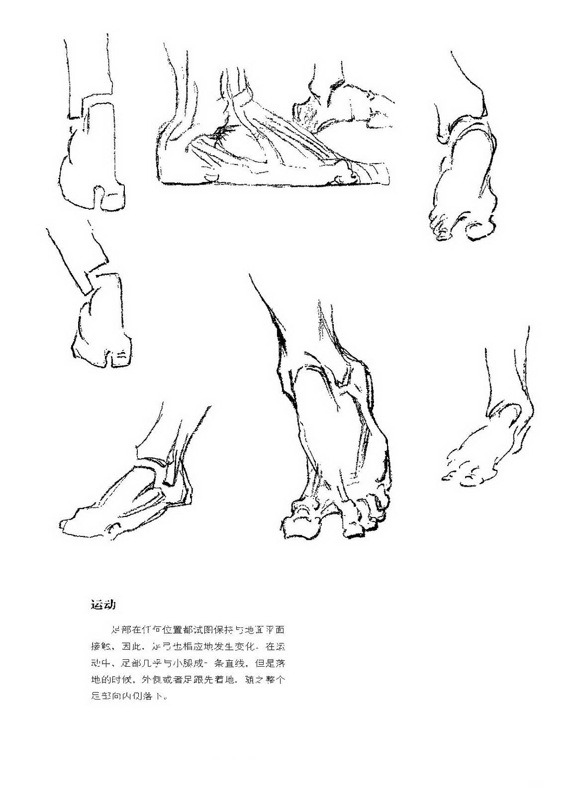 人物速写练习,伯里曼有作用吗?