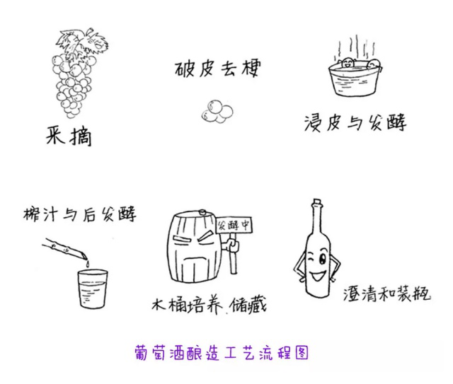 葡萄酒酿造工艺流程图