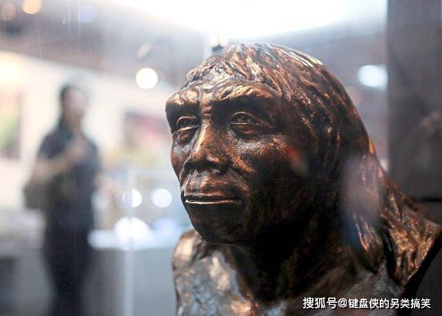 北京猿人化石79年前就丢了,至今下落不明,那复原像是怎么来的?