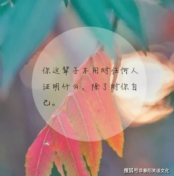 致自己的人生感悟经典句子,句句都是人生忠告,值得一读再读