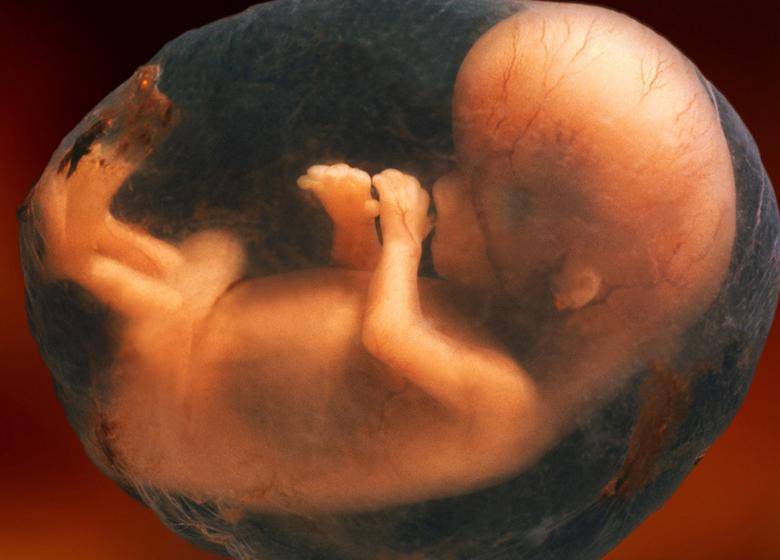 孕产说: 18周胎儿在什么位置, 怀孕18周了究竟胎儿位置在哪里呢