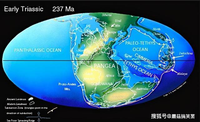 科学家发现新的灭绝事件历史上没有记载恐龙因它成为王者