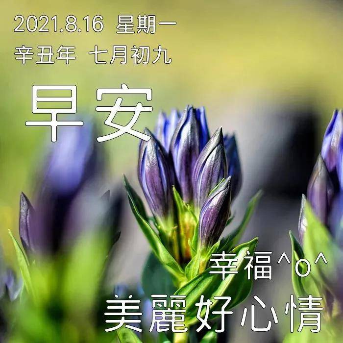 2021特别漂亮的免打字早上好问候语图片精选 创意好看