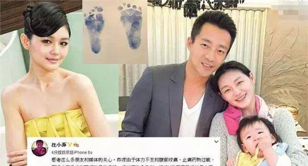 是老公不愿意给她剥虾了吗?_汪小菲