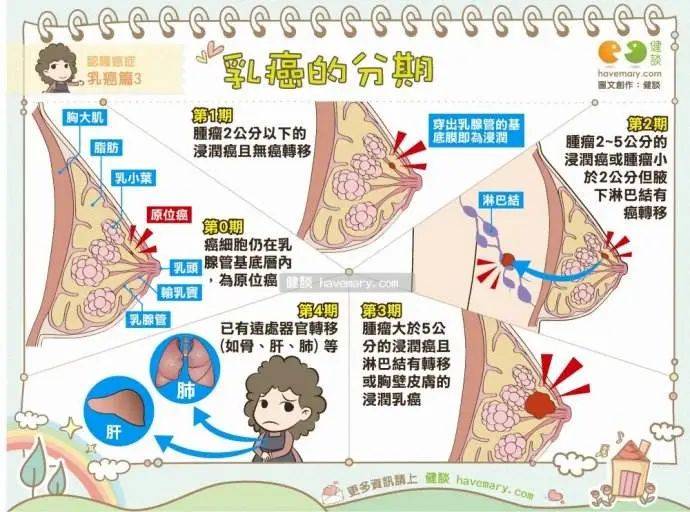 亿万姐妹福音!科学家证明燕窝肽可以抑制乳腺癌