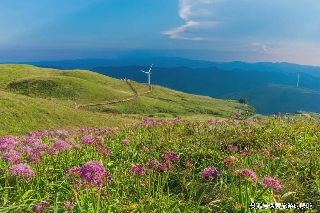 而二台坡景区非常适合拍大片,它与韭菜坪紧挨着, 盘踞在山间的那条