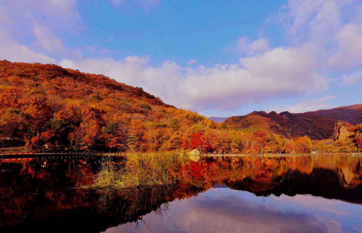 辽宁集旅游,观光,避暑,度假,休闲于一体的森林旅游景区