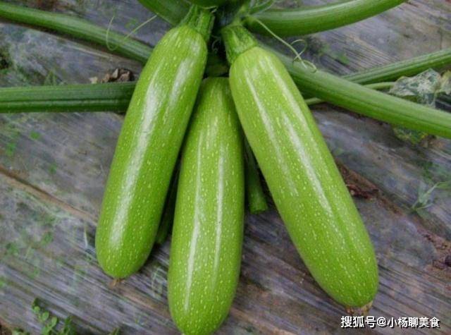 其实北瓜就是它,人们常