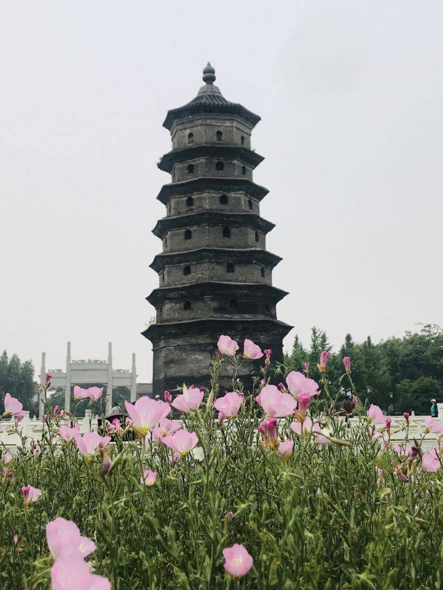 盐城东台旅游景点怎么样?第一次来江苏,你最想去哪一个景点?