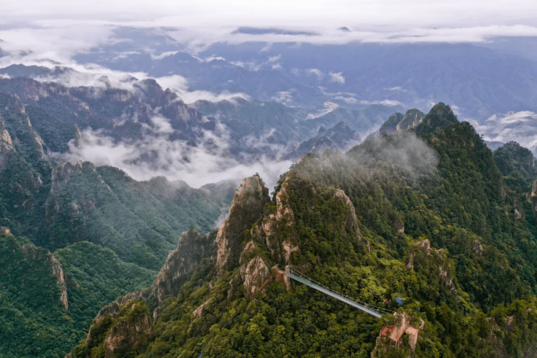 西峡老界岭持续云海奇观!全国游客免门票进行中_景区