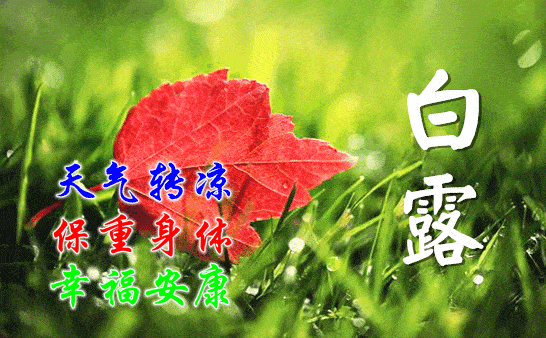 原创白露节气清晨早上好问候祝福表情包白露早安问候祝福语动态表情