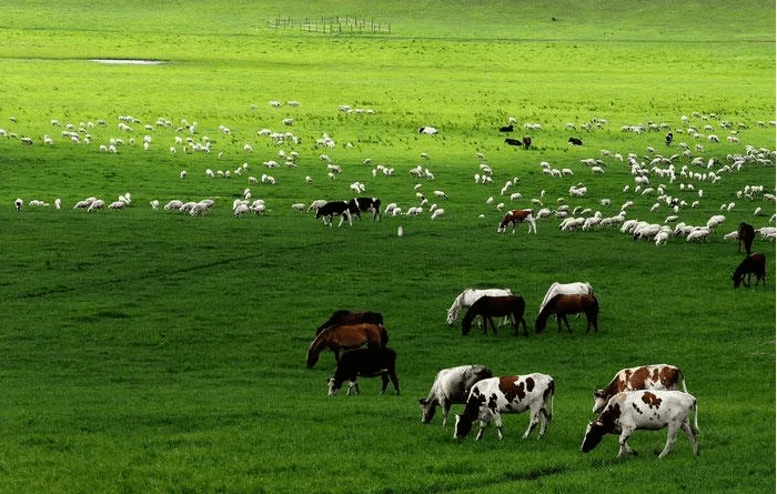 内蒙古包揽世界美景,"足不出户"带你环球旅行