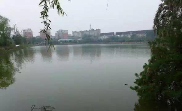 兵家都是全能的:韩信没有船,便用一堆陶罐突破了黄河天险