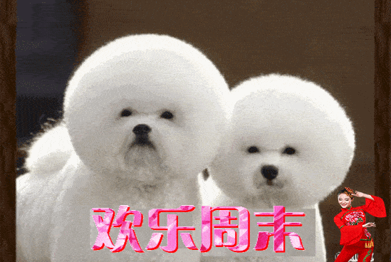 2021年9月12日星期六漂亮早上好问候动态表情图片带字