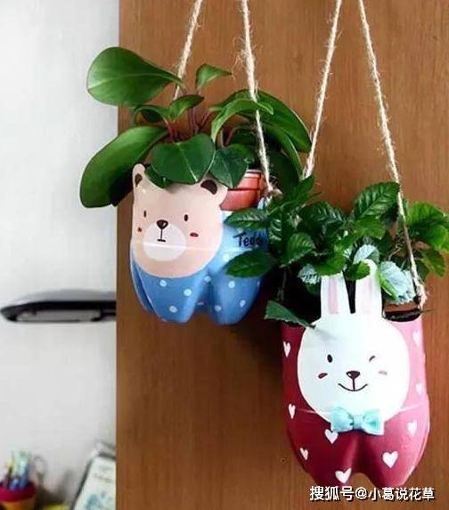 原创用废弃塑料瓶做花盆,知道这个小妙招,讨人厌的"垃圾变成艺术品