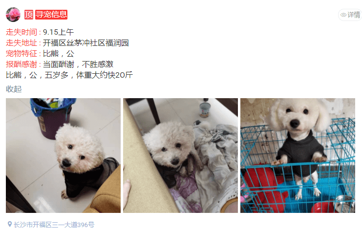 [寻猫寻狗团队]09月15日猫狗走失信息