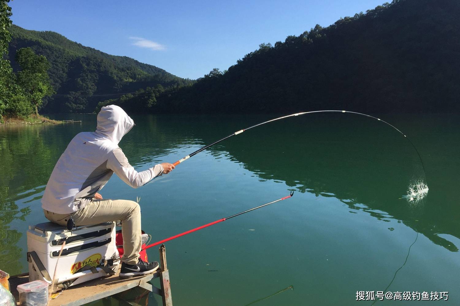 钓鱼有哪些要点?钓鱼人必须掌握的四大要点