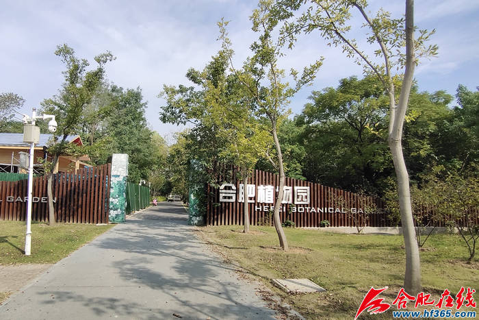 献礼国庆 合肥这些重点工程顺利完工_植物园