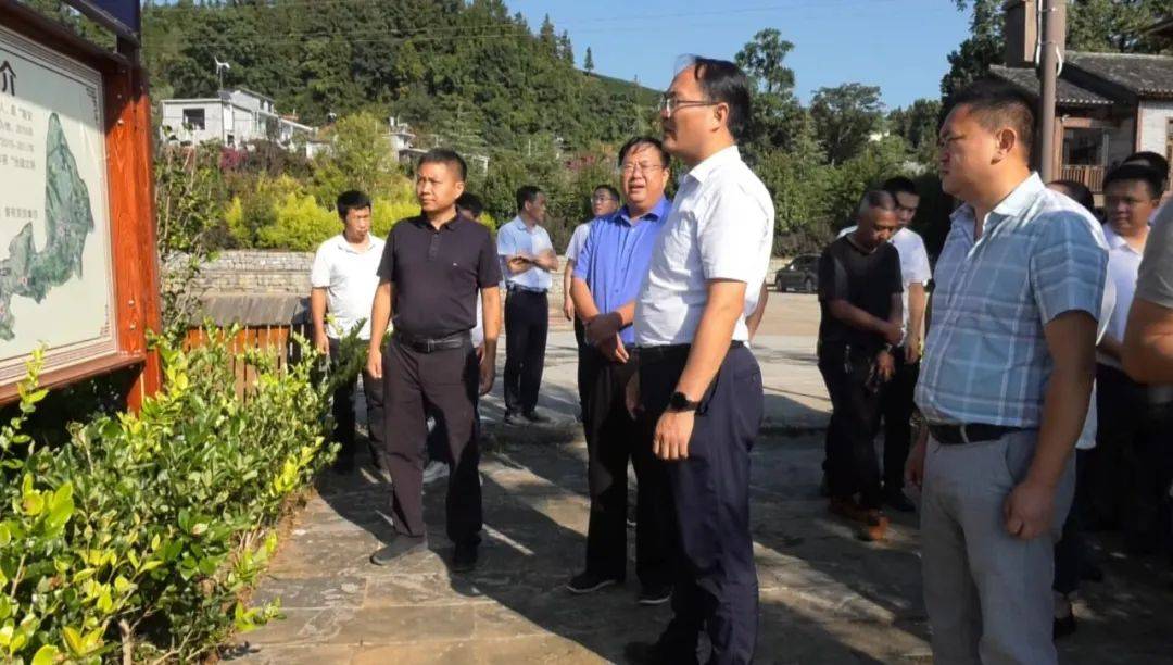 省乡村振兴局调研组到我县茶源街道调研乡村振兴试点建设工作