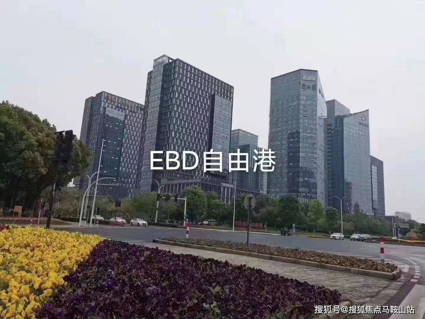 百亩产业园,双高铁,占据中心位置 地段:旧馆中心位置,浙北大厦一路之