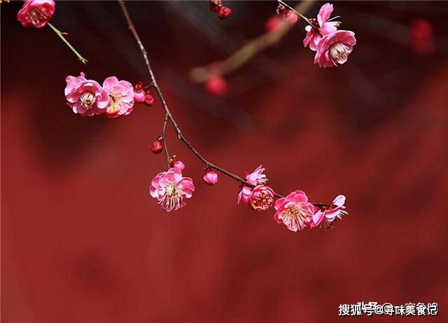 为何农历的一月叫"正月",而十二月,则叫做"腊月"_ng