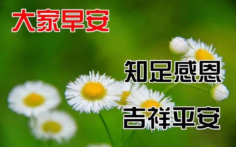 早上好,星期四了,为您送上最温暖的周末祝福,打开看看