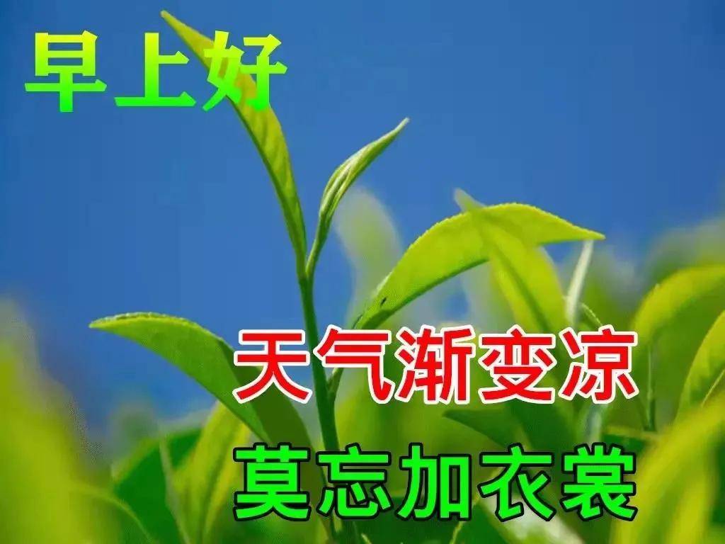 8张创意唯美的秋日早上好祝福图片大全好看的清晨早上好问候语温馨