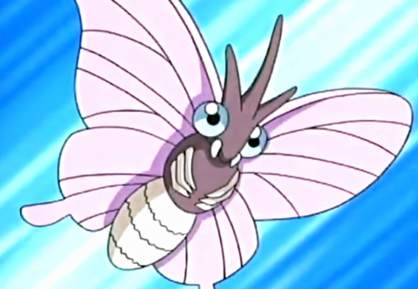 摩鲁蛾虽然叫做蛾,但实际上根据其体态来看其身上有