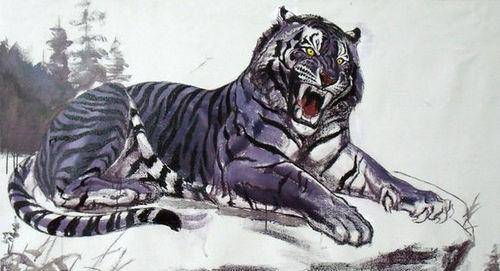 既然一直以来都有黑虎的传闻,说明黑色老虎的变异可能在很久以前就