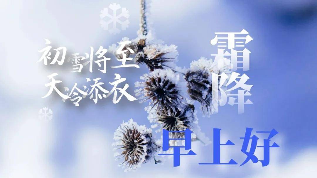 23霜降来到,愿君多珍重 ,天凉了最美早上好问候语!