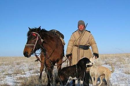 中国境内,藏獒虽已走下神坛,但其他3种原生獒,依旧傲然挺立