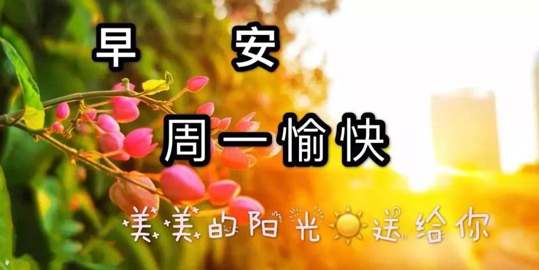 2021年10月25日星期二晨早上好问候祝福表情图片 周二