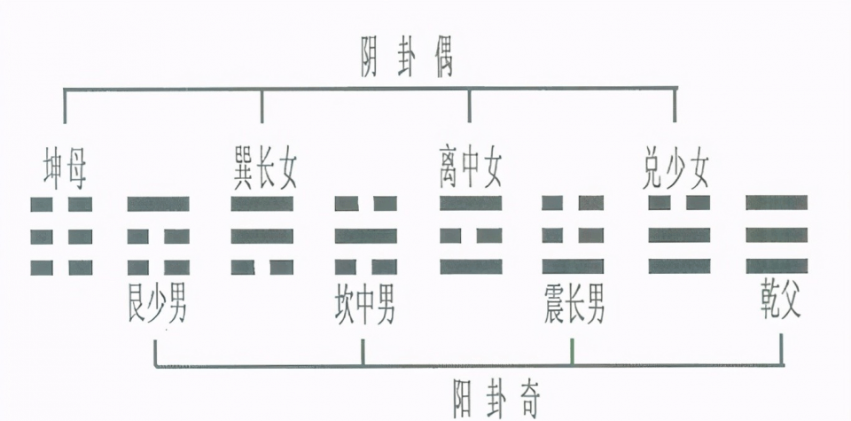 《周易神农图》传奇三:盛世龙图惊现,揭开父母六子卦神秘来源