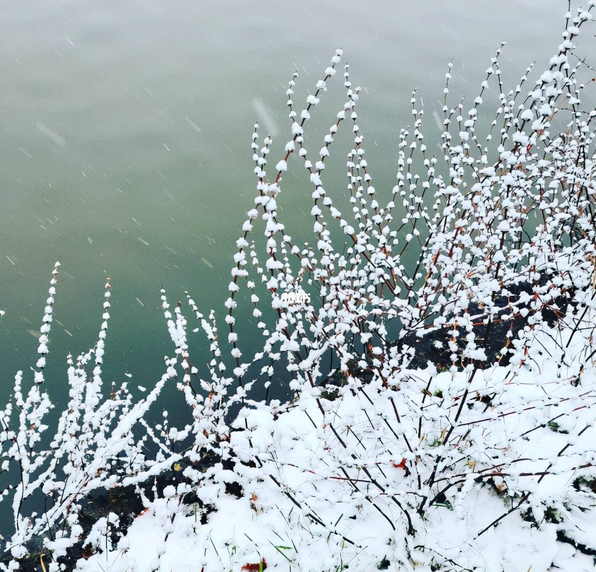 "山晚云初雪,汀寒月照霜