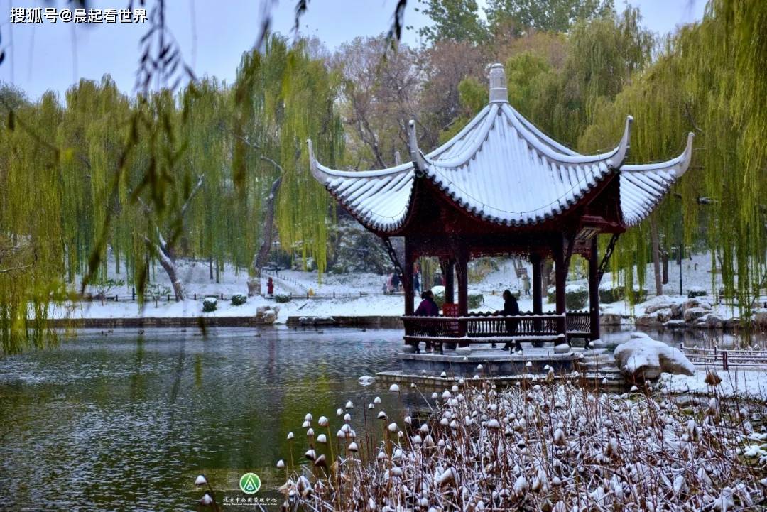 你们要的京城雪景来了_陶然亭公园