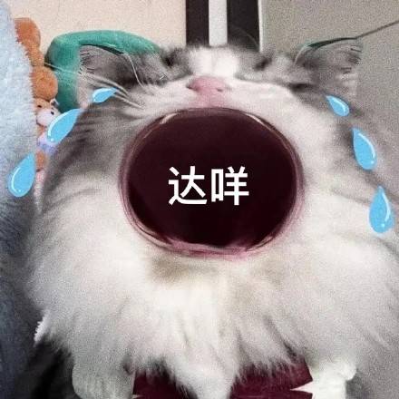 猫咪张大嘴哭大嘴猫表情包